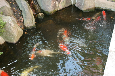 20071021 088-400.jpg